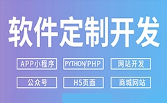 軟件定制開發